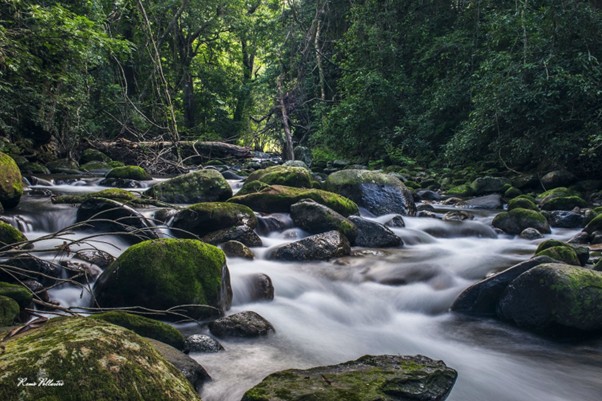 Aberfoyle Lodge view