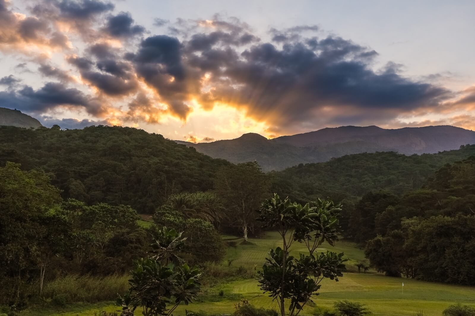 Aberfoyle Lodge wedding scene
